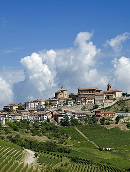 Bottiglie delle Langhe